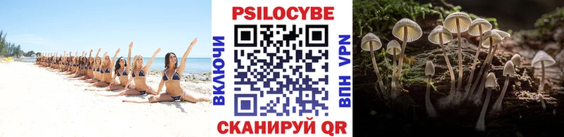 Псилоцибиновые грибы Psilocybine cubensis  kraken tor  Славск 
